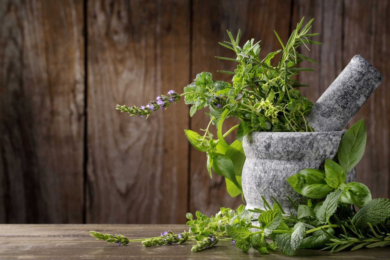 Травы названия