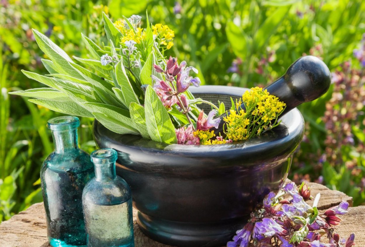 Лечебные травы