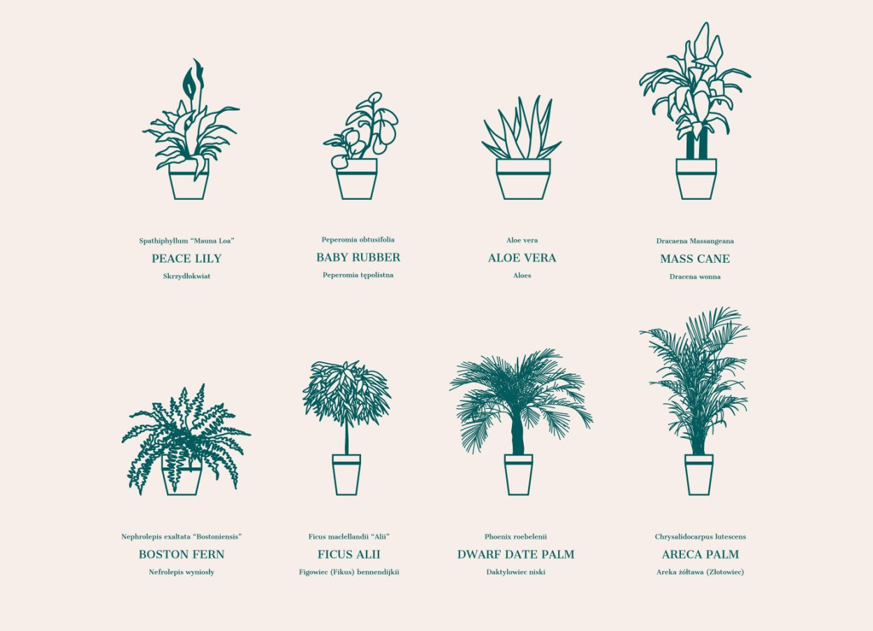 Рита Хейворт до пластики