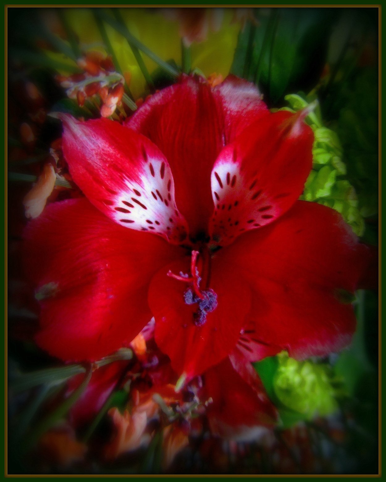 Цветочный магазин Аленький цветочек Новоаннинский