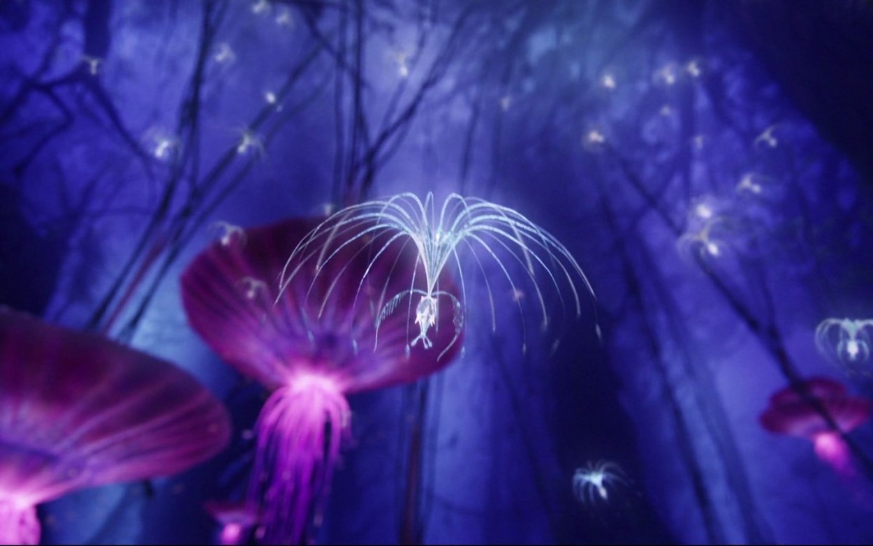 Пандора аватар Эйва