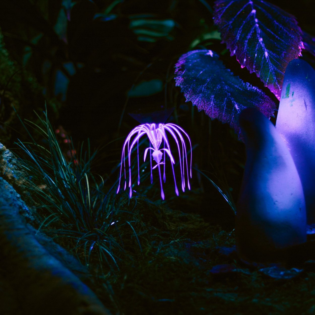 Люминесцентные растения