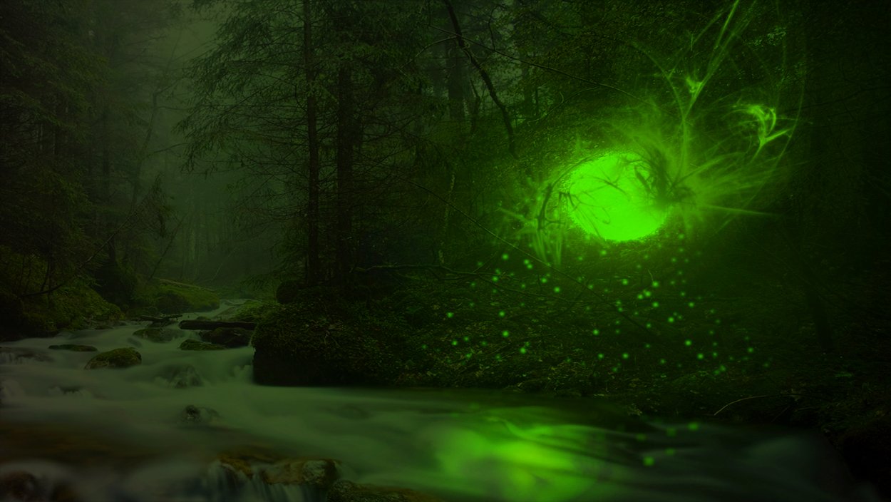 Волшебные картинки