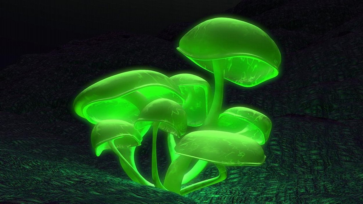 Зеленая подсветка деревьев