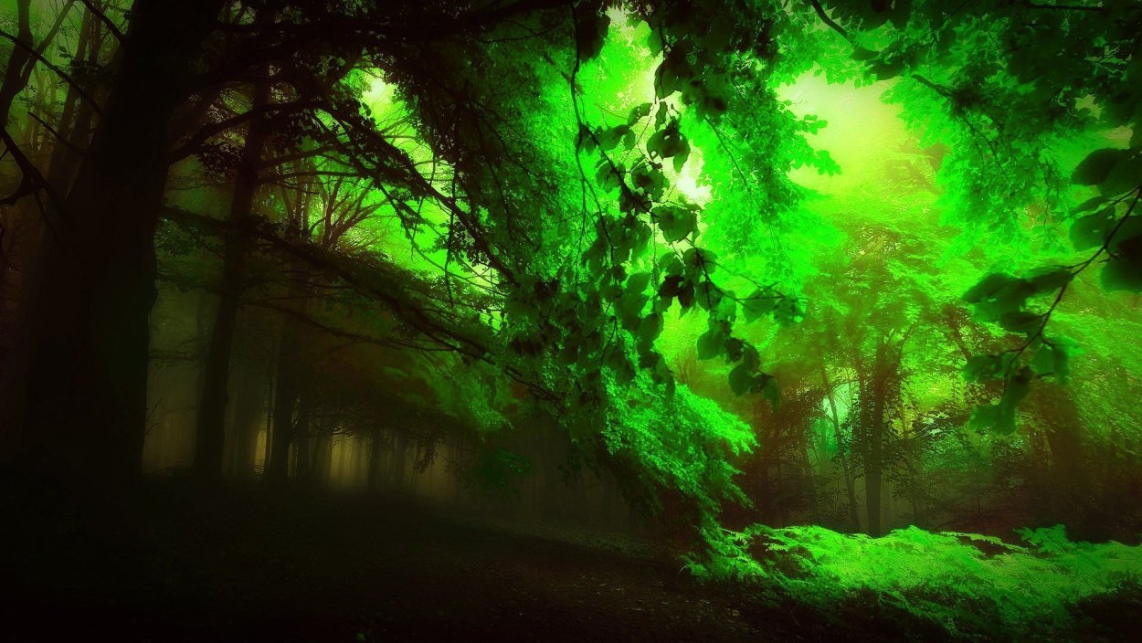 Мицена хлорофос