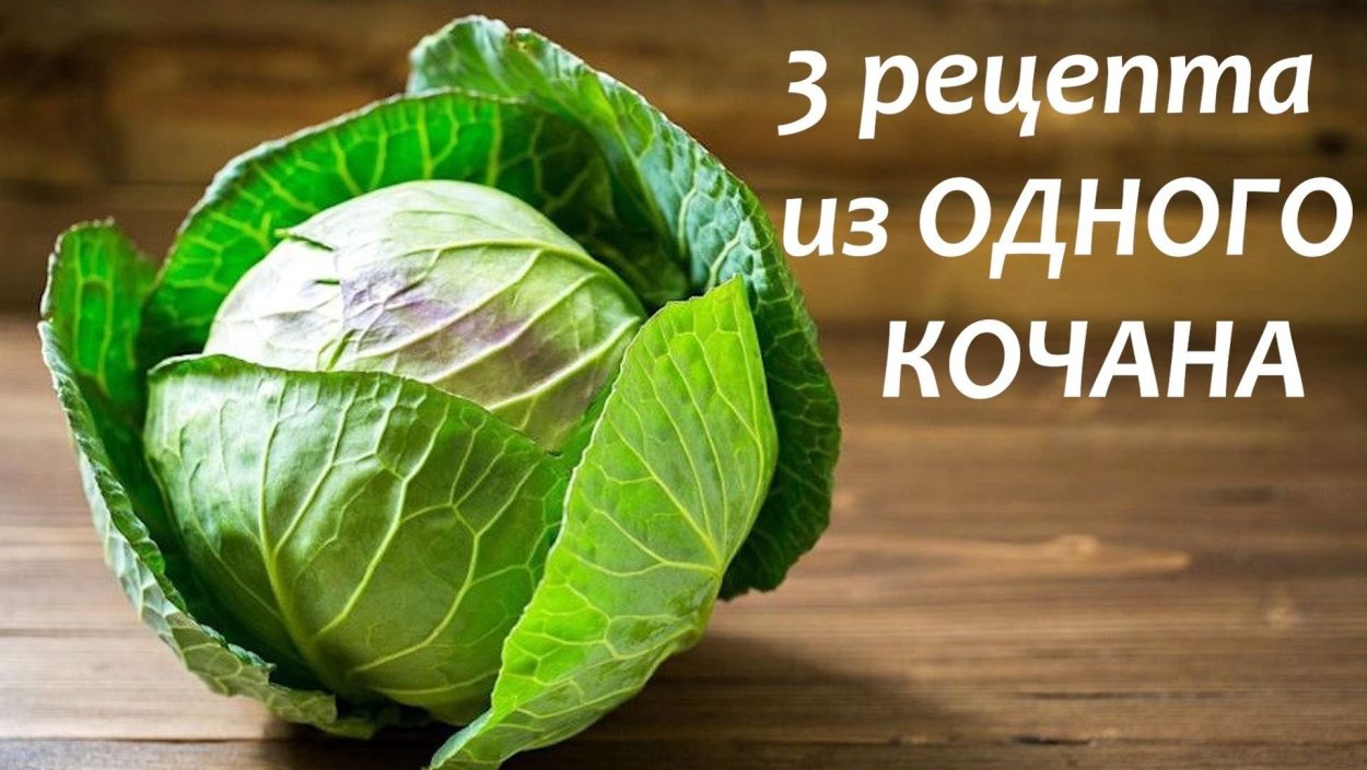 Капуста молодая белокочанная