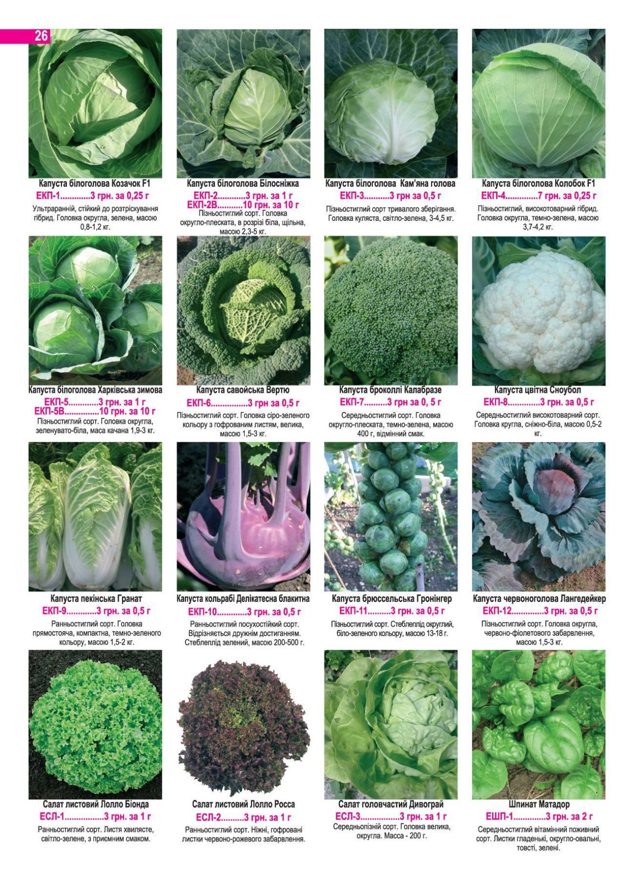 Пекинская брюссельская кольраби капусты