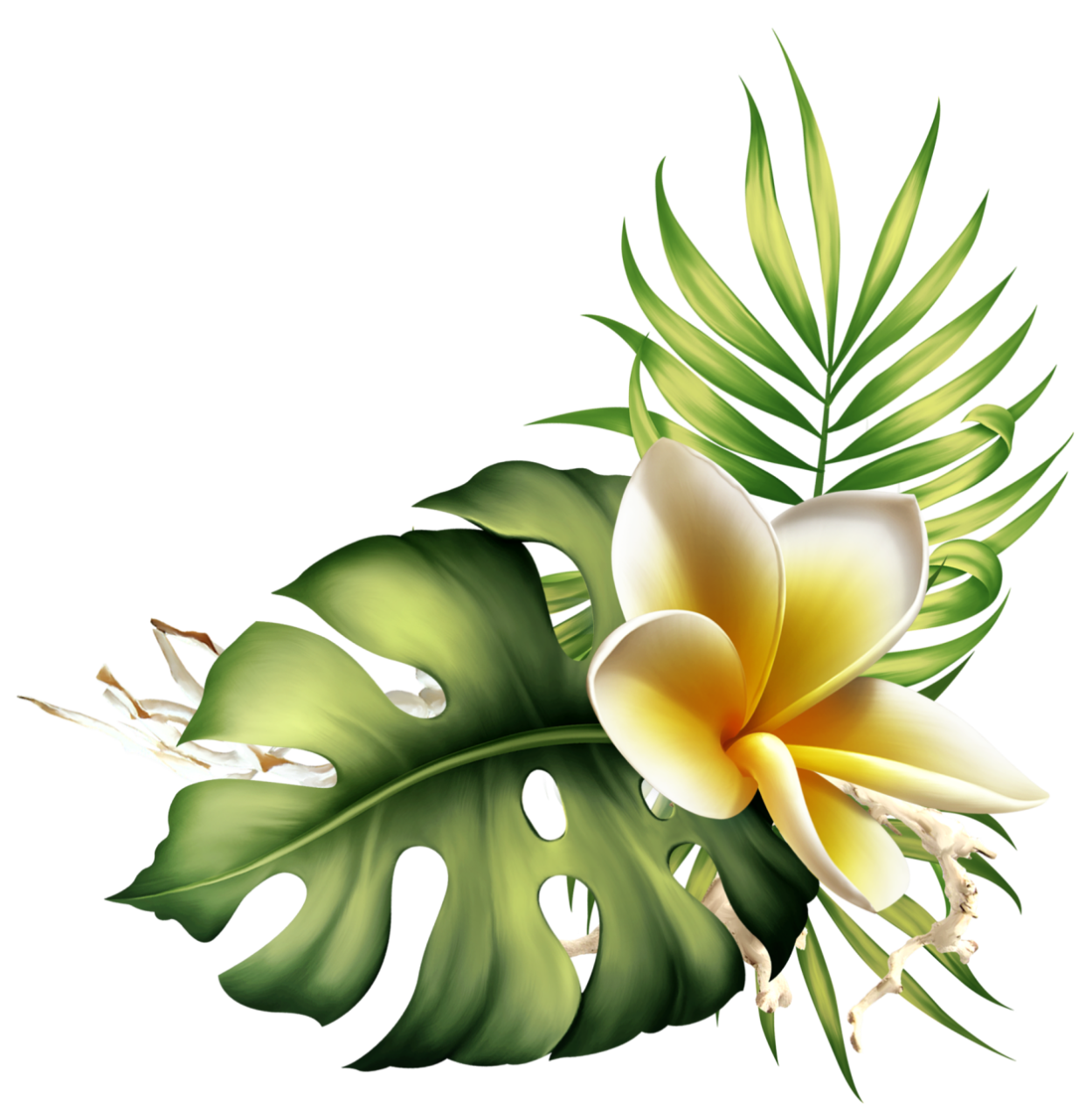 Тропические цветы