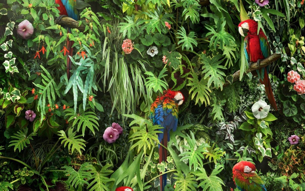 Тропический лес цветы