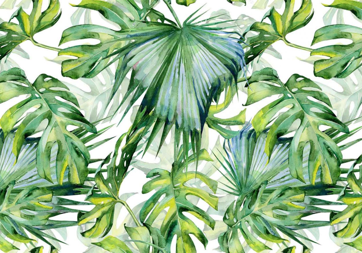Лиана монстера акварель