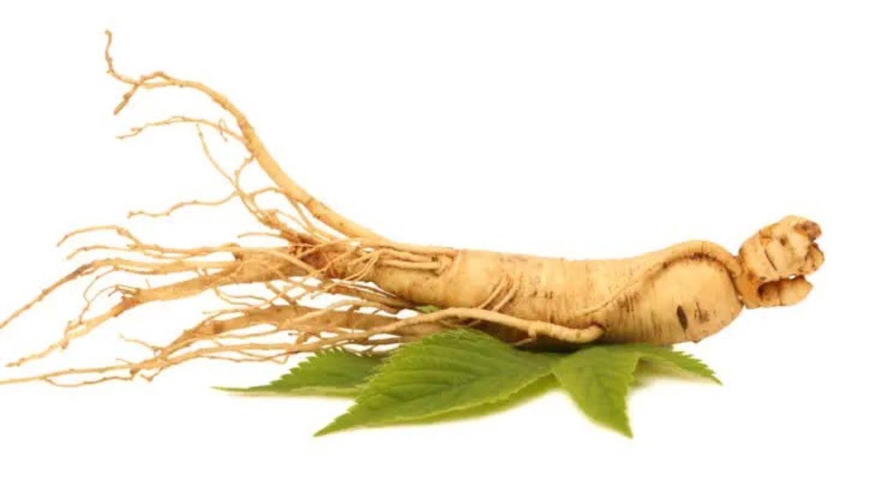 Корневища валерианы