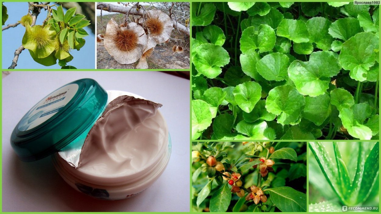 Лекарственные травы