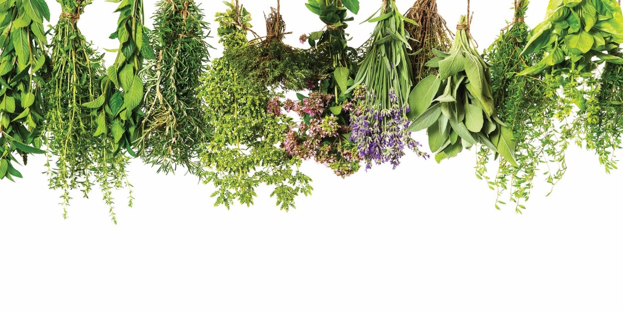 Ашваганда (индийский женьшень