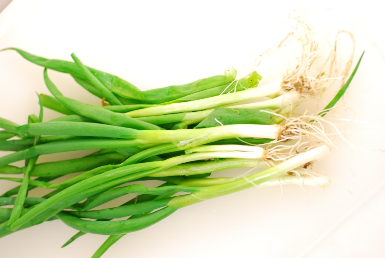 Зеленый лук с головкой