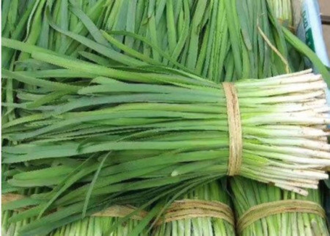 Китайский Chives.