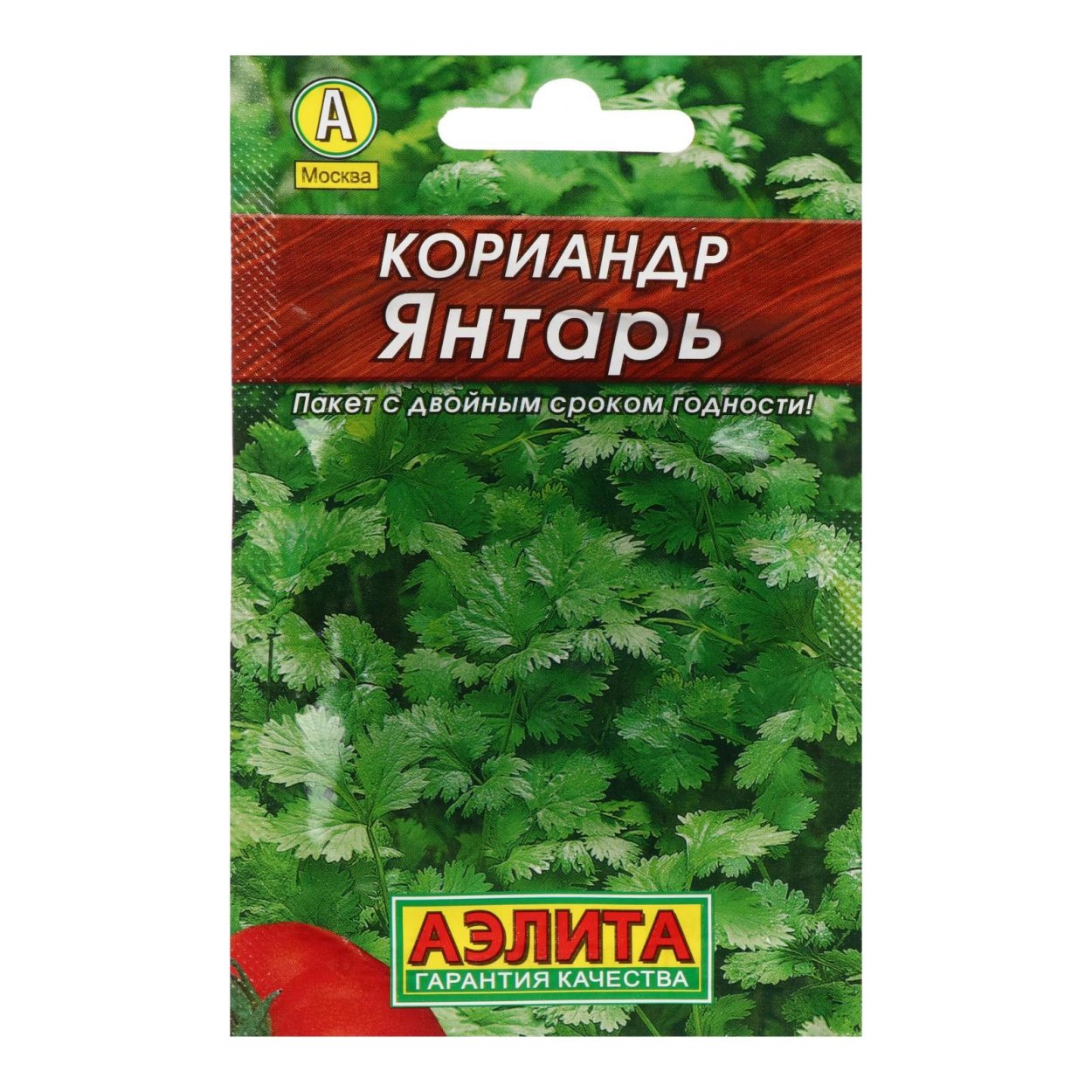 Кориандр vs кинза