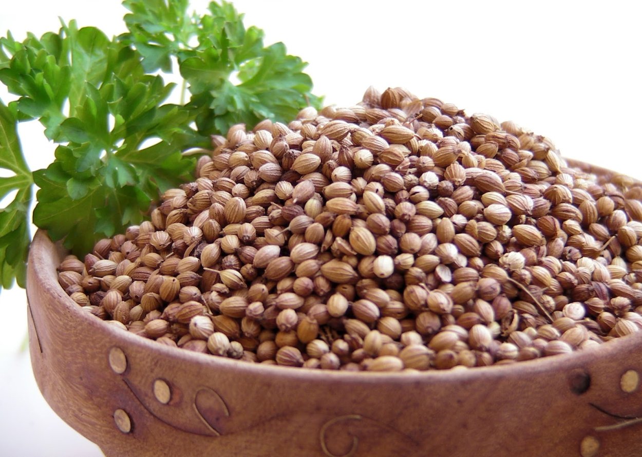 Семена кориандра Алексеевский