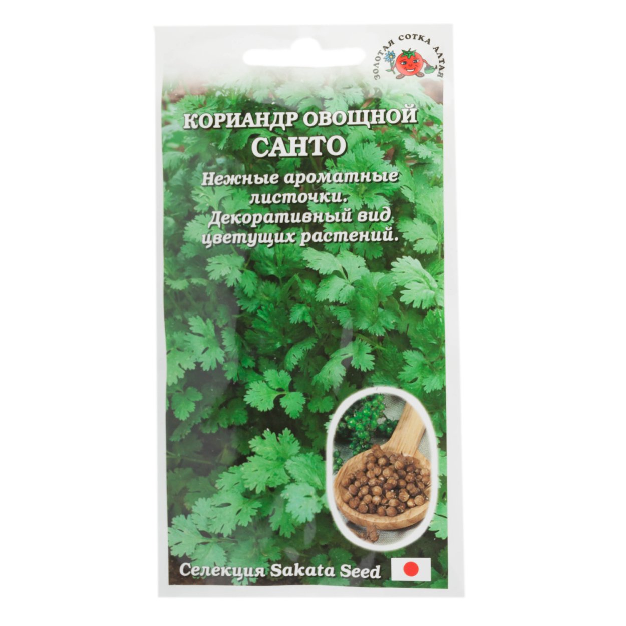 Кориандр (кинза) янтарь