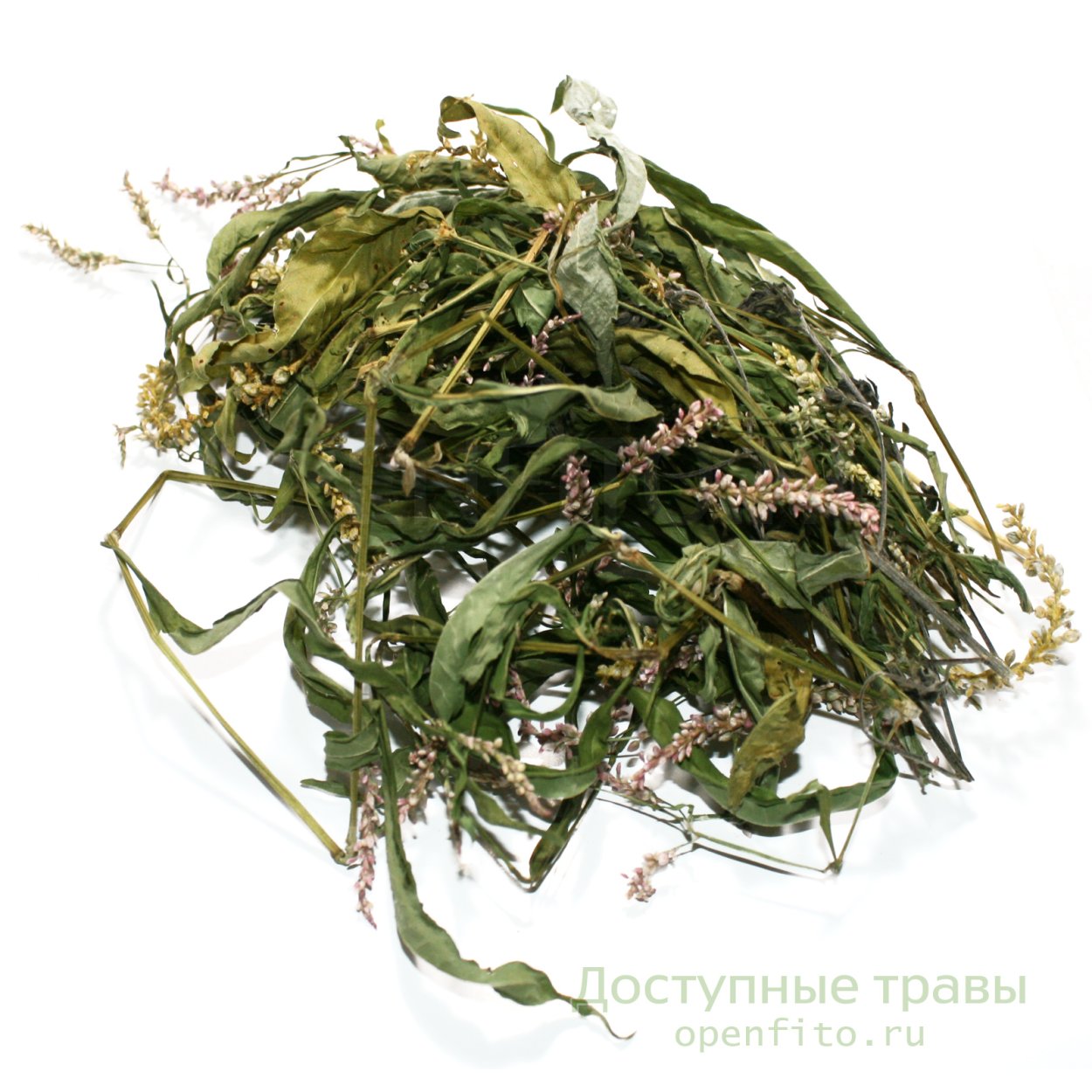 Горец перечный сырье