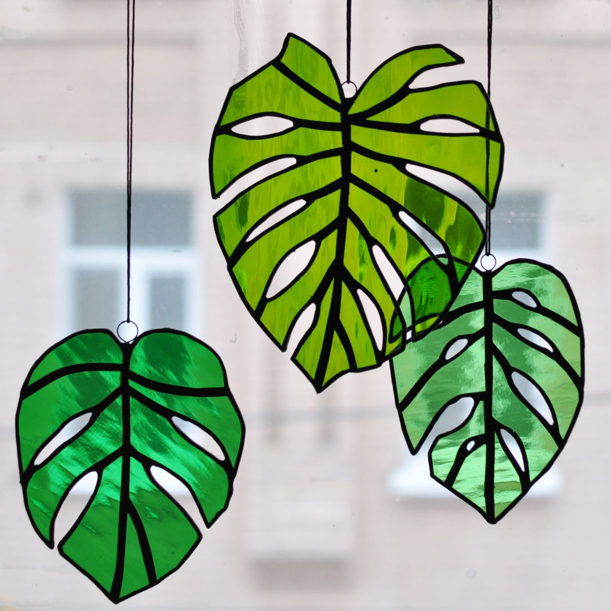 Комната с растениями Эстетика