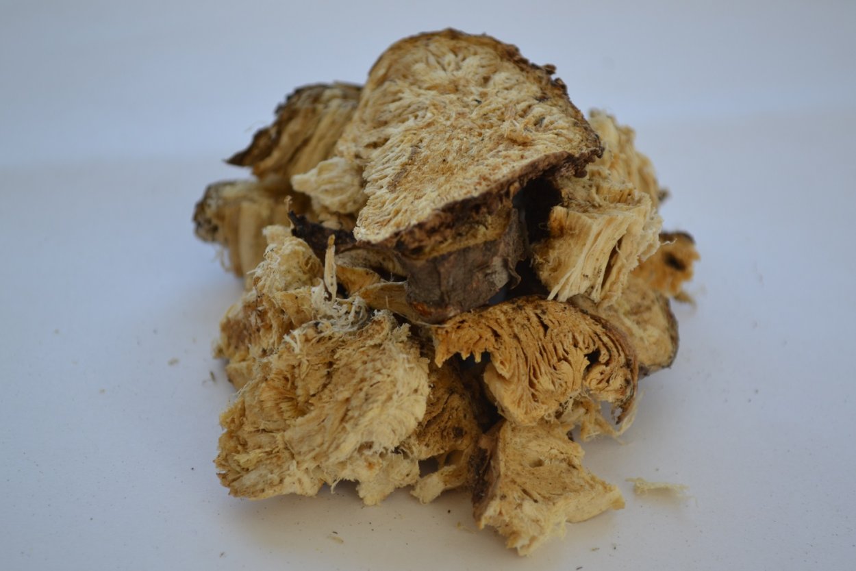 Дягиль Дудник лекарственный