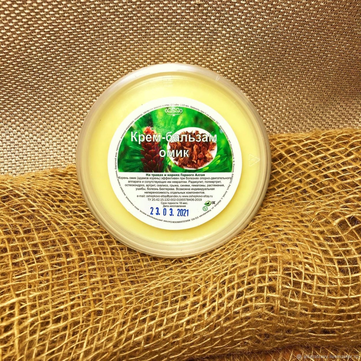 Ферула камеденосная