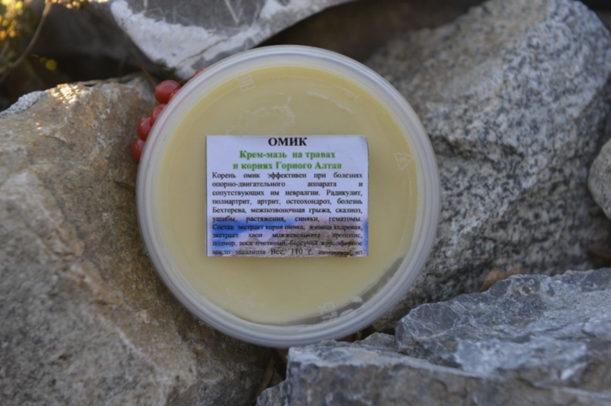 Девясил Сибирский Луговой