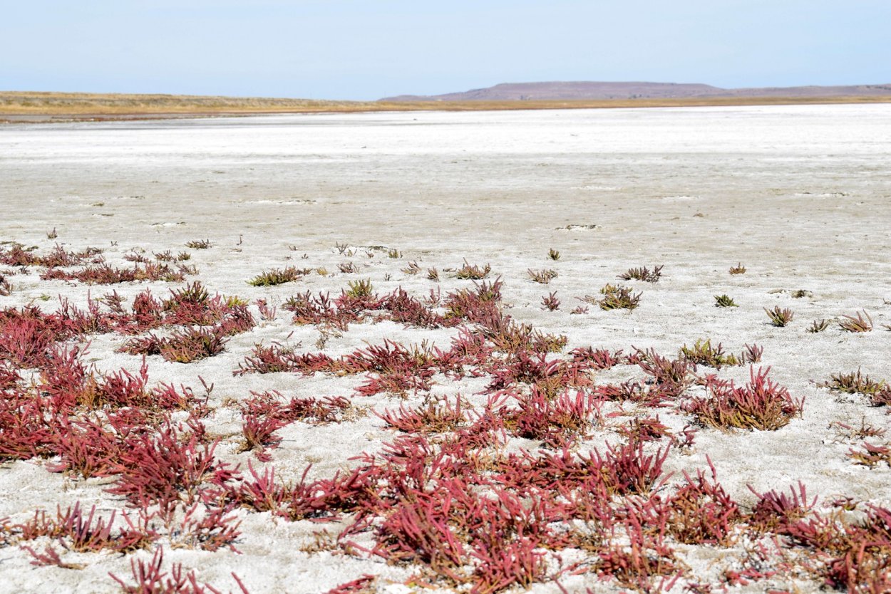 Соленое озеро Грузское