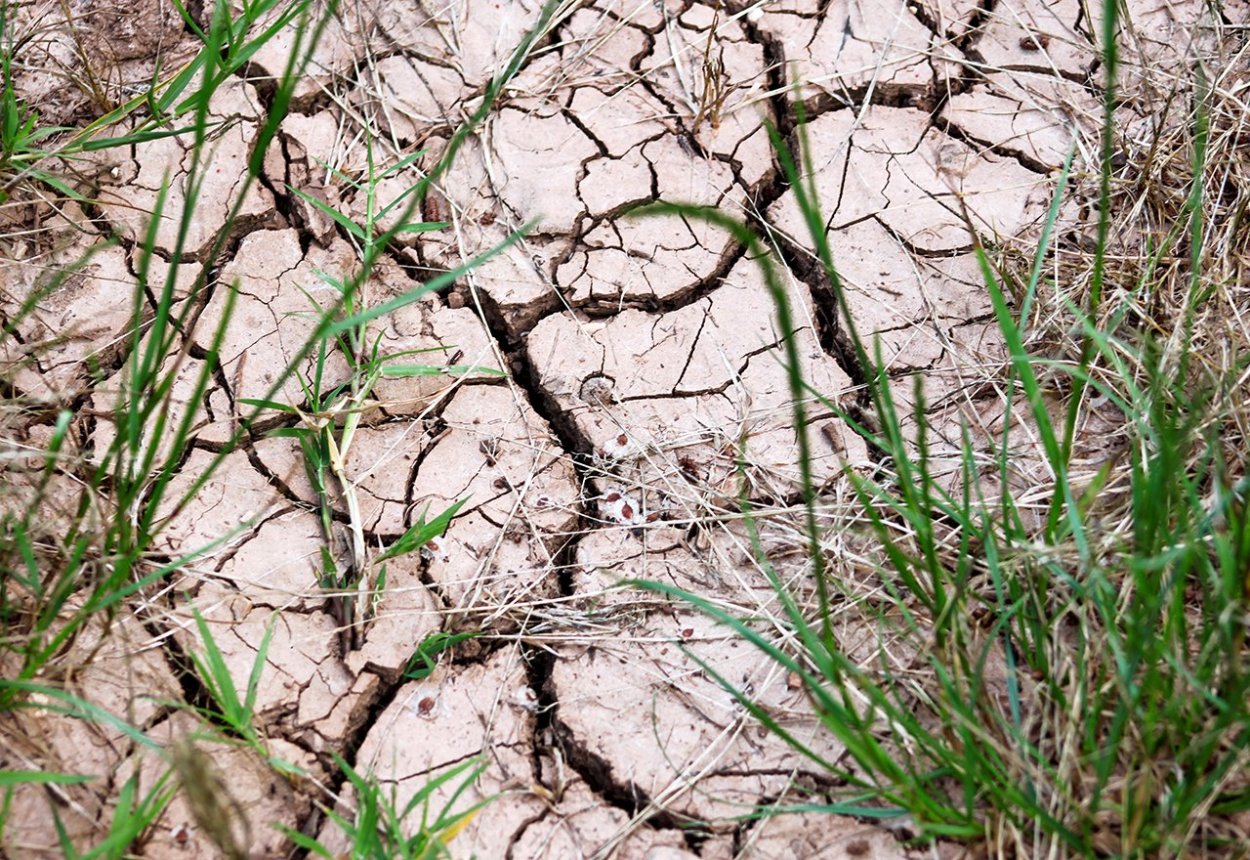 Хлоридное засоление почвы