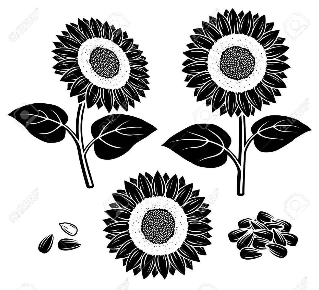 Подсолнух стилизация семечки