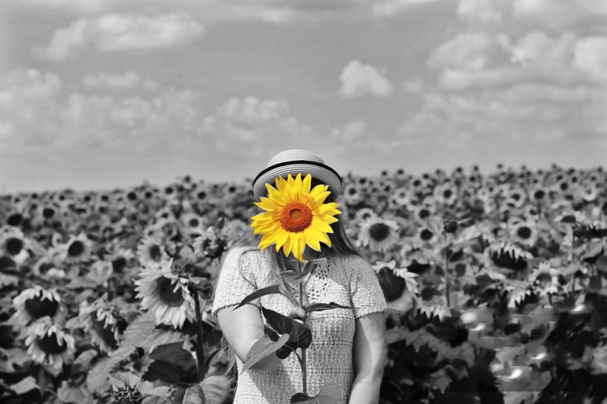 Я подсолнух