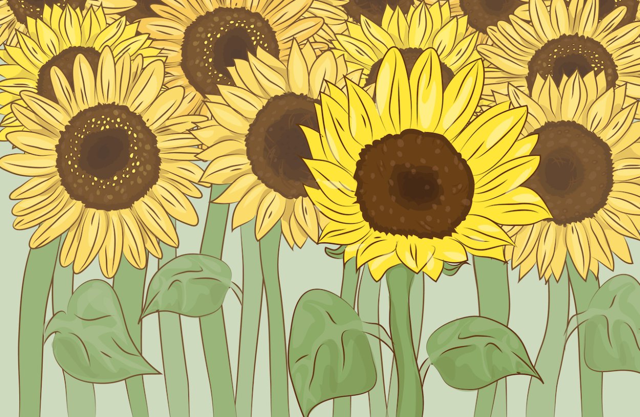 Поп арт подсолнух