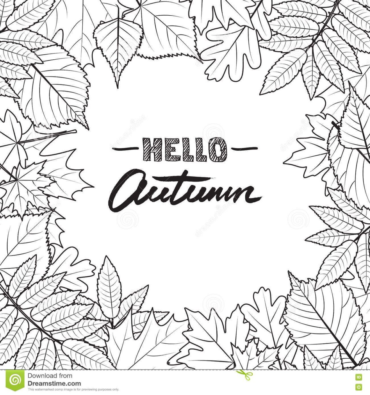 Монстера и папоротник