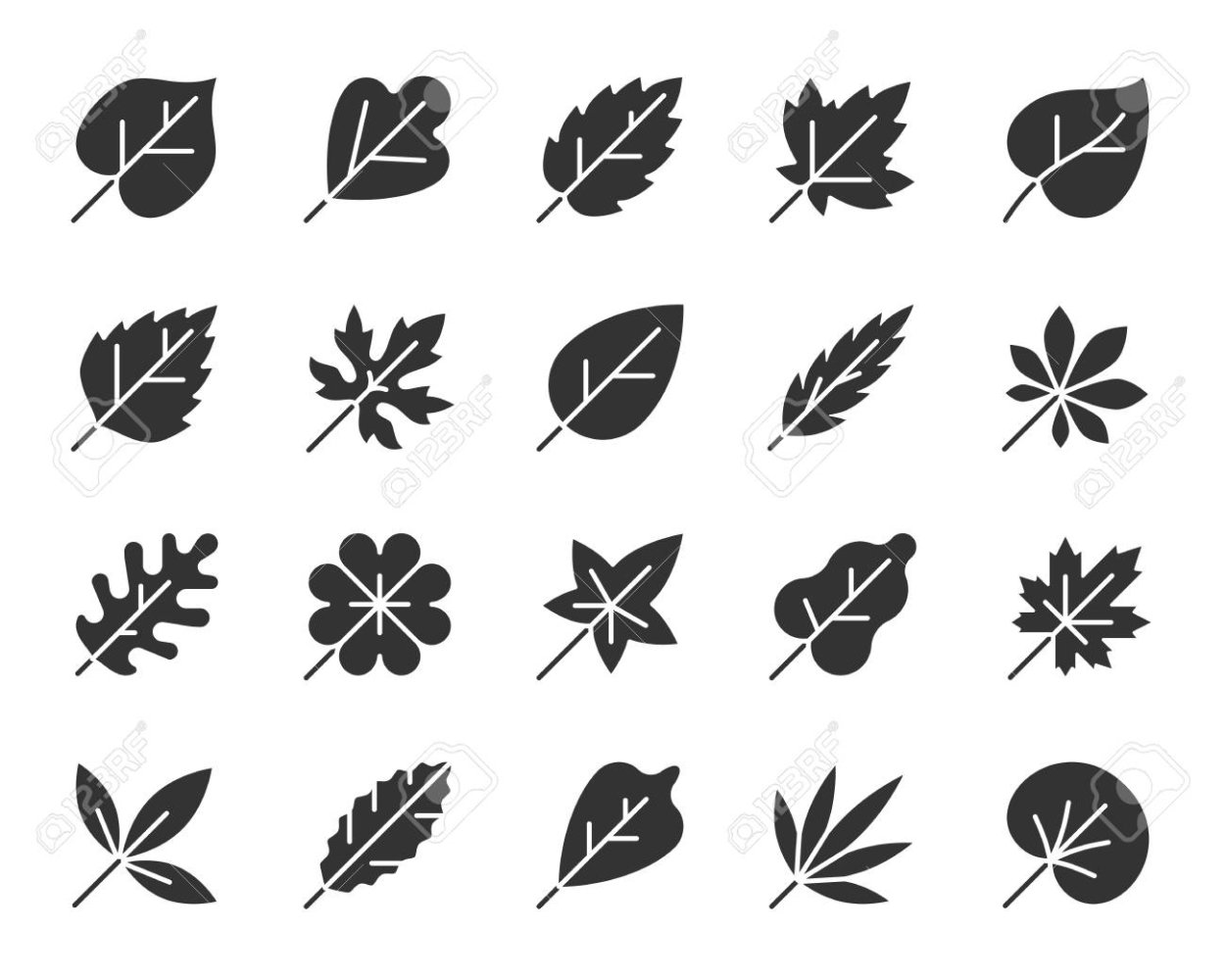 Лист монстеры Графика