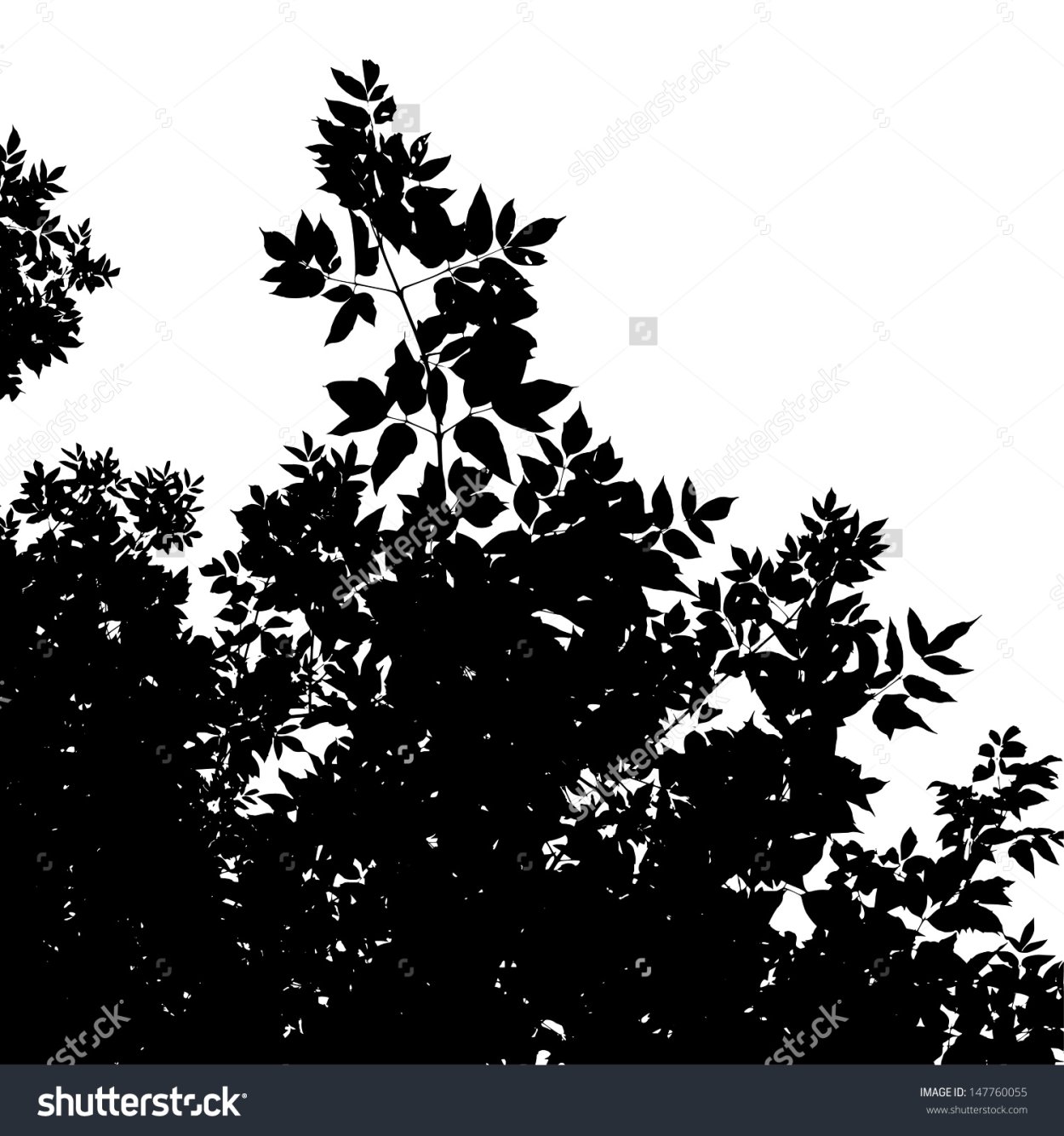 Черный лист