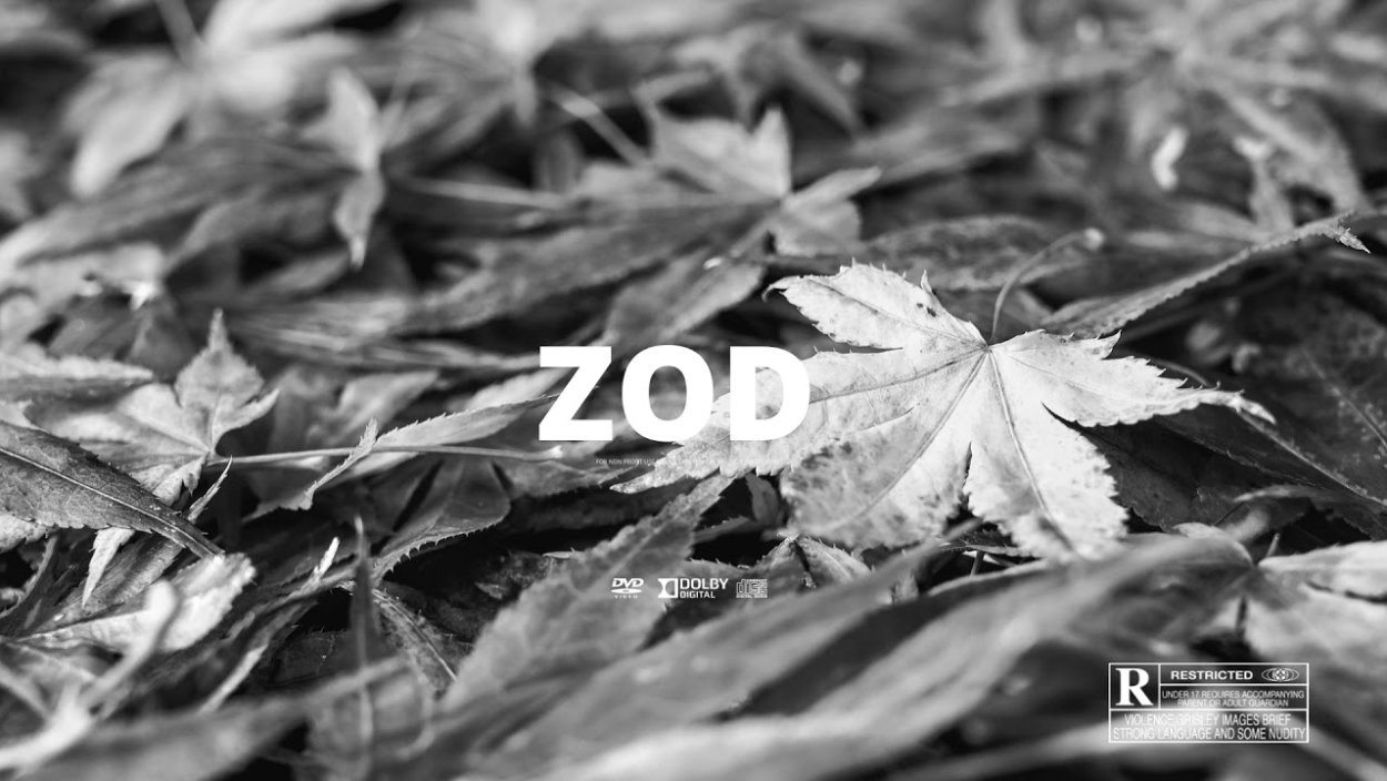 Листья монстеры в графике