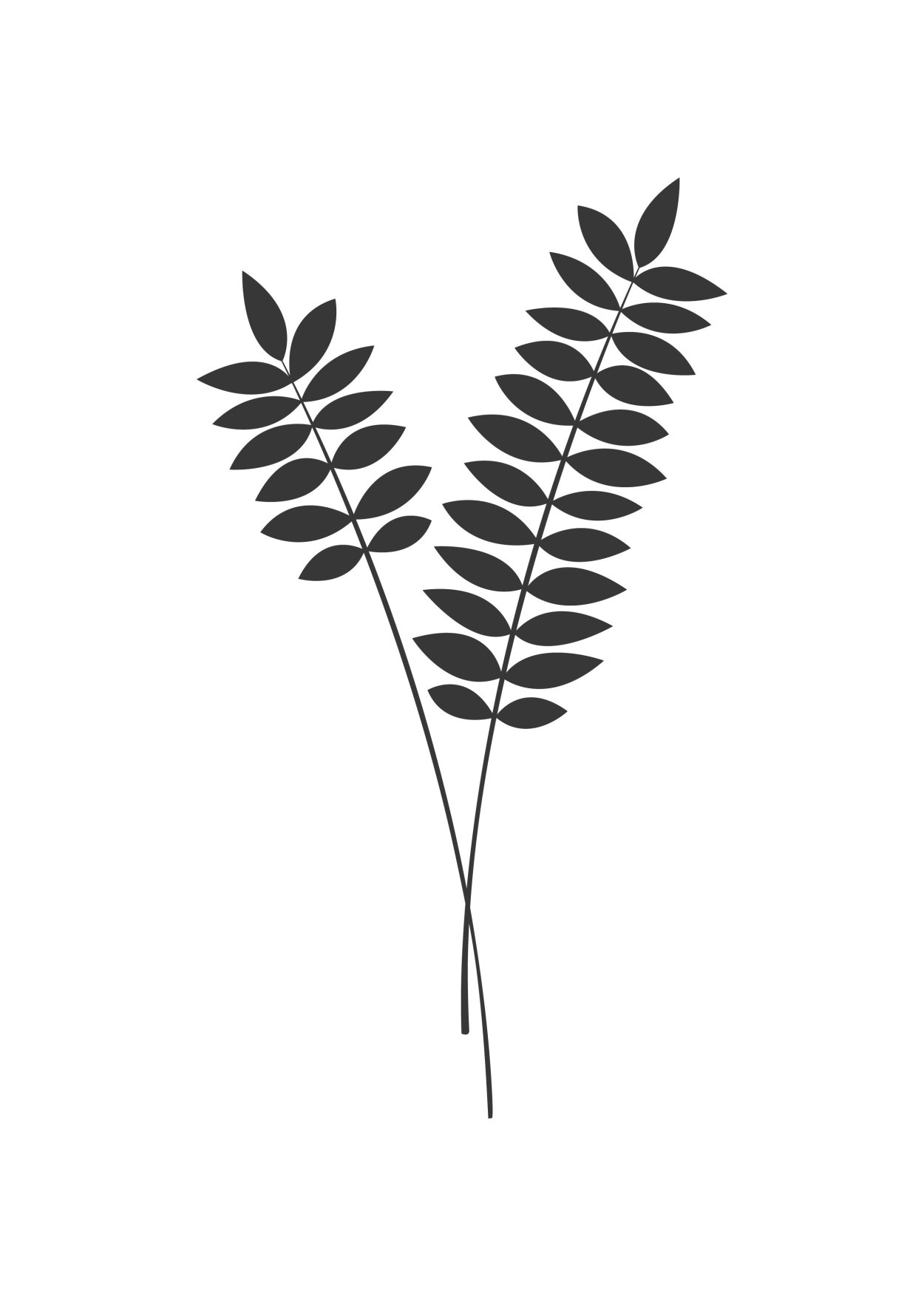 Эскиз веточка с листьями чб