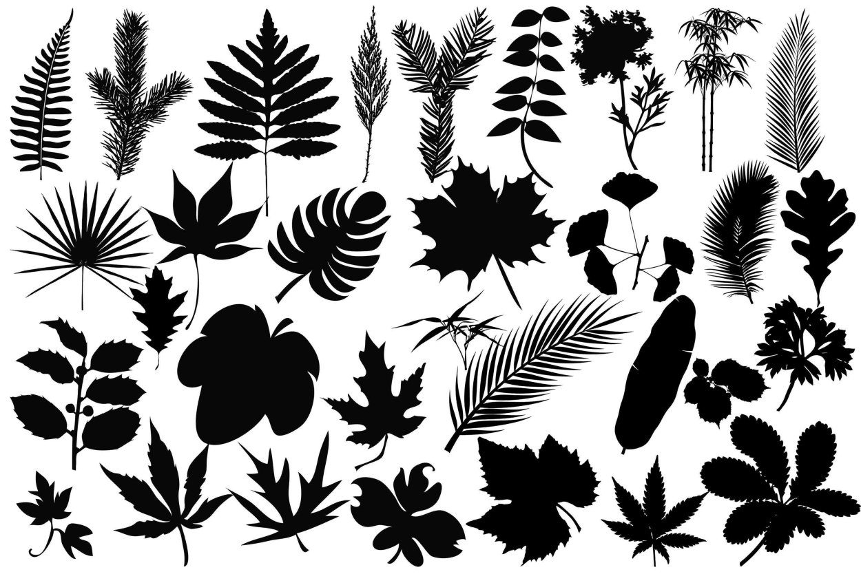 Тропические листья акварелью