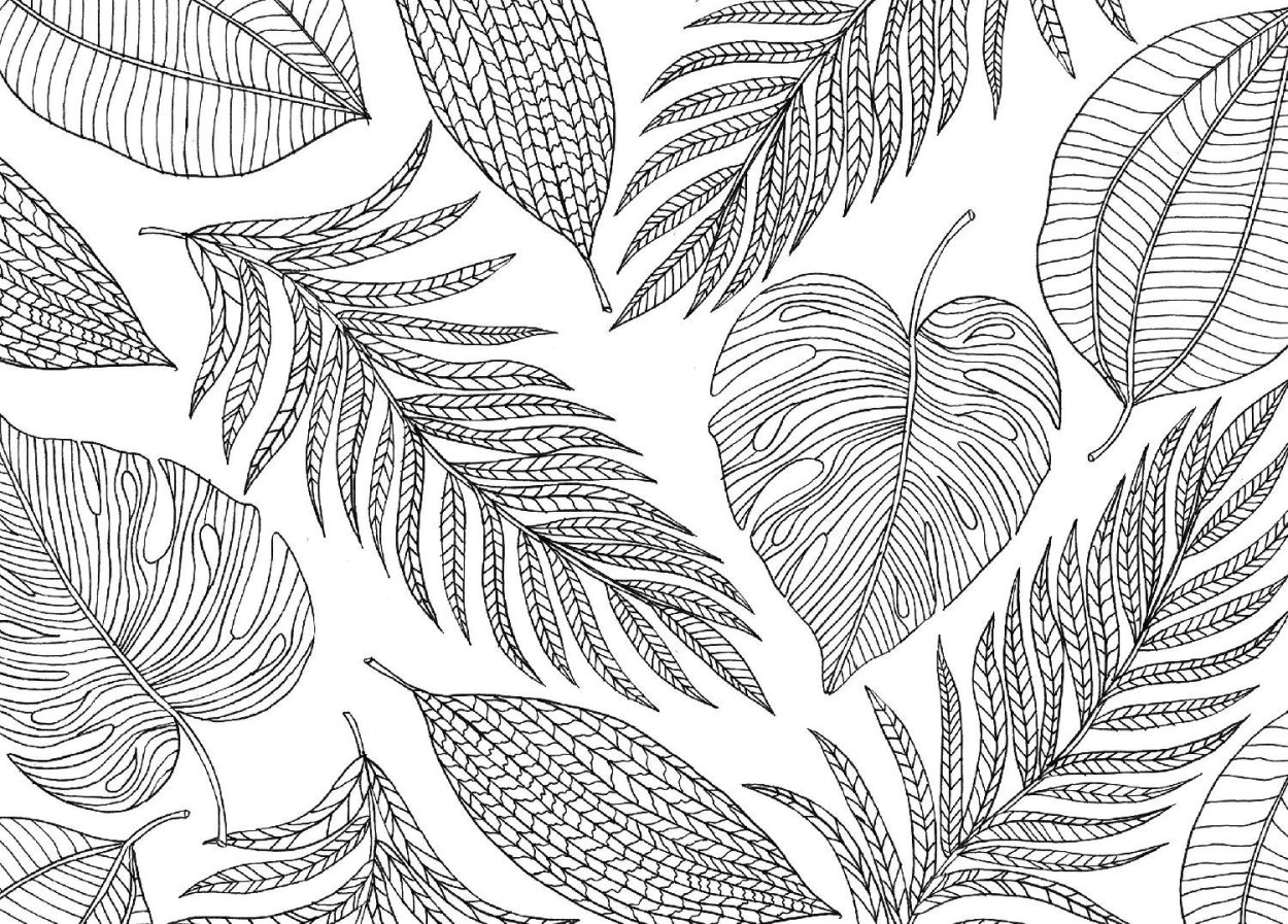 Контур веточки с листочками