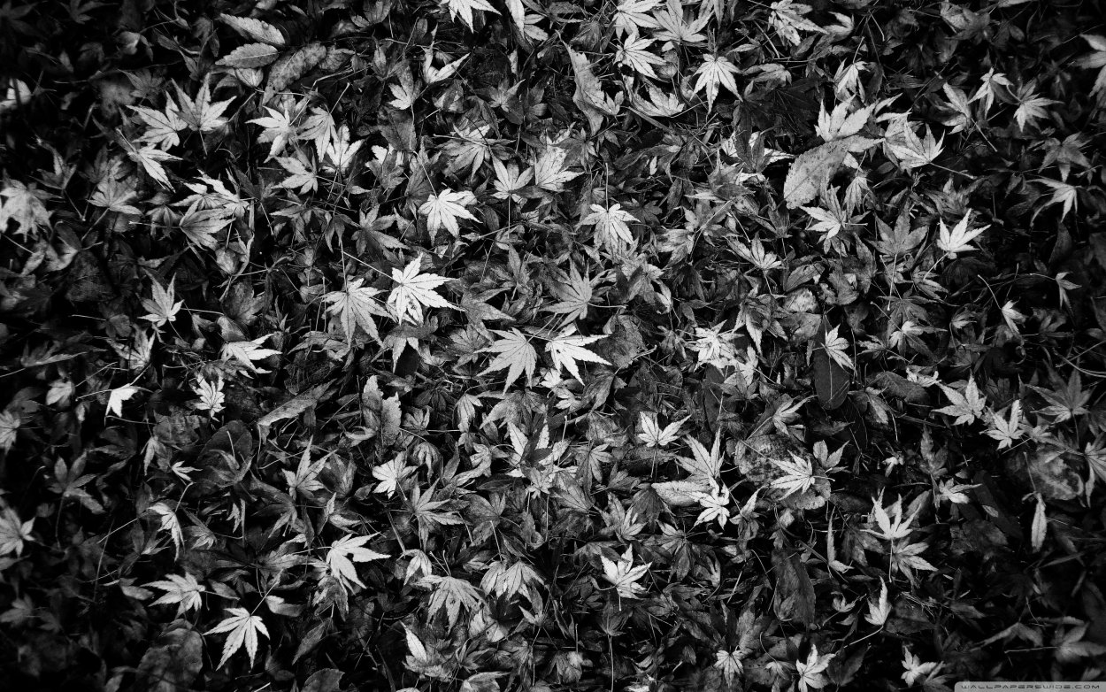 Паттерн листья