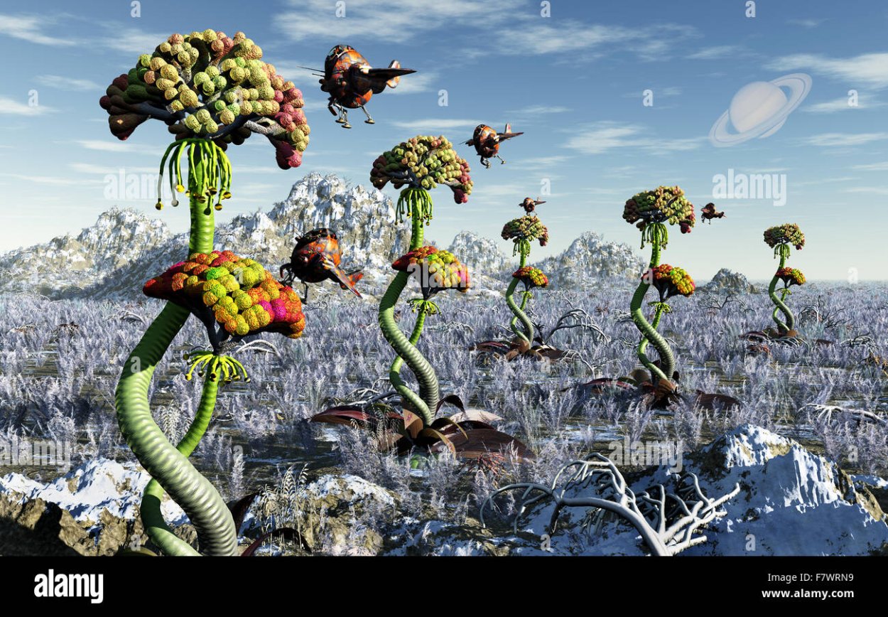 Такка Шантрье