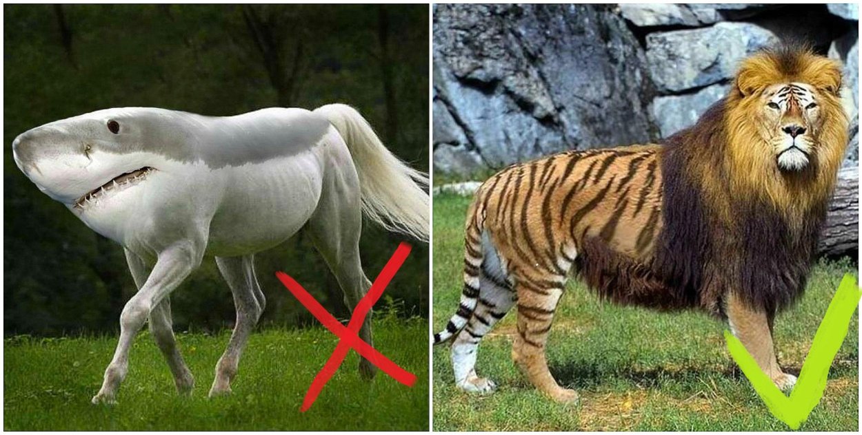 Необычные красные цветы