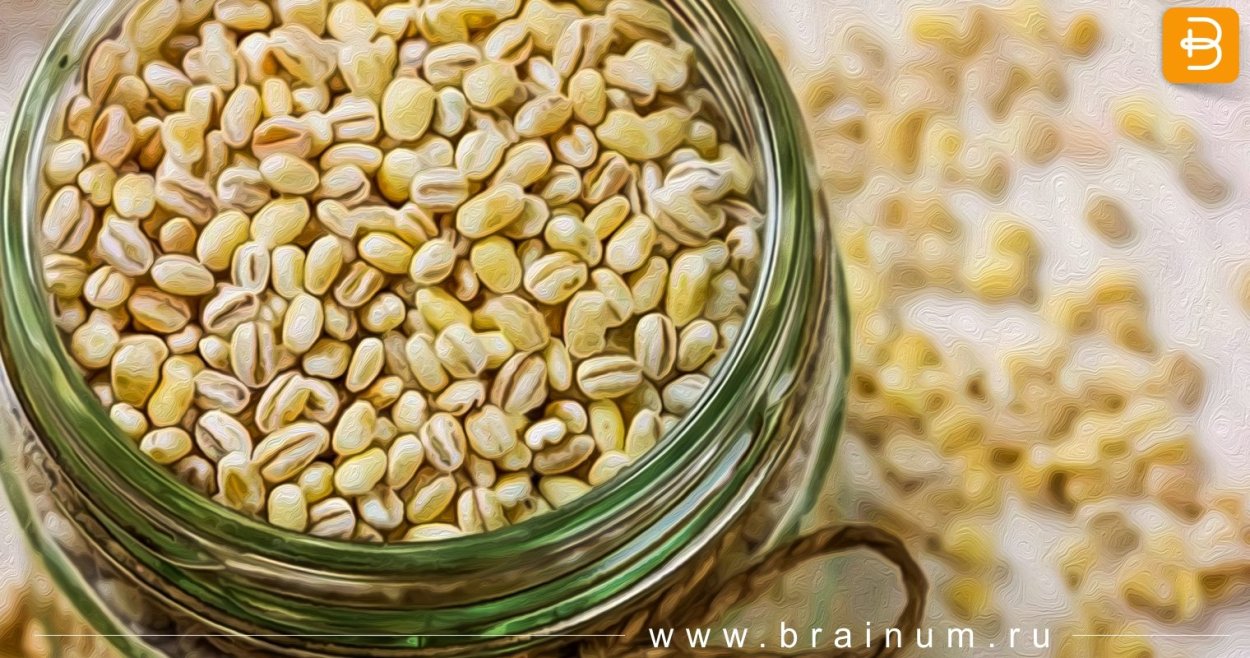 Ячмень перловая крупа