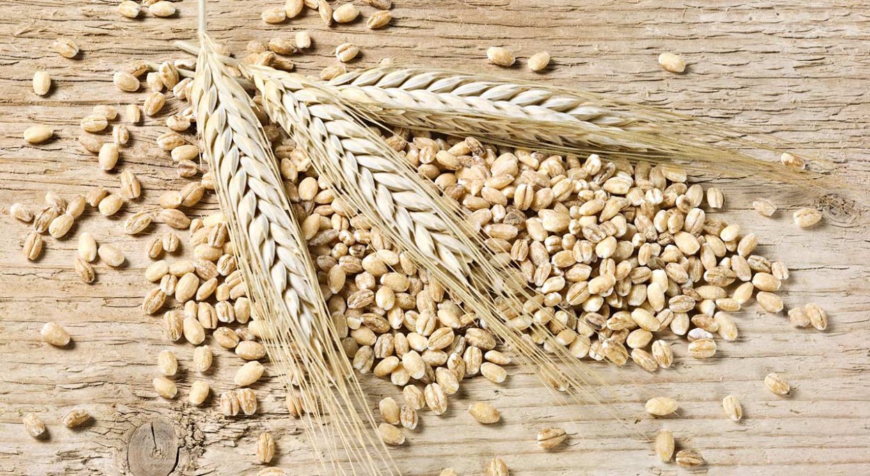 Ячневая крупа с колосками