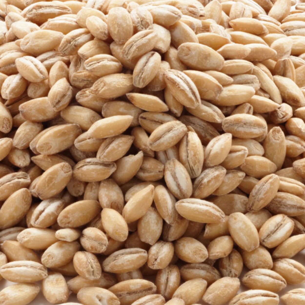 Ячневая крупа дробленая