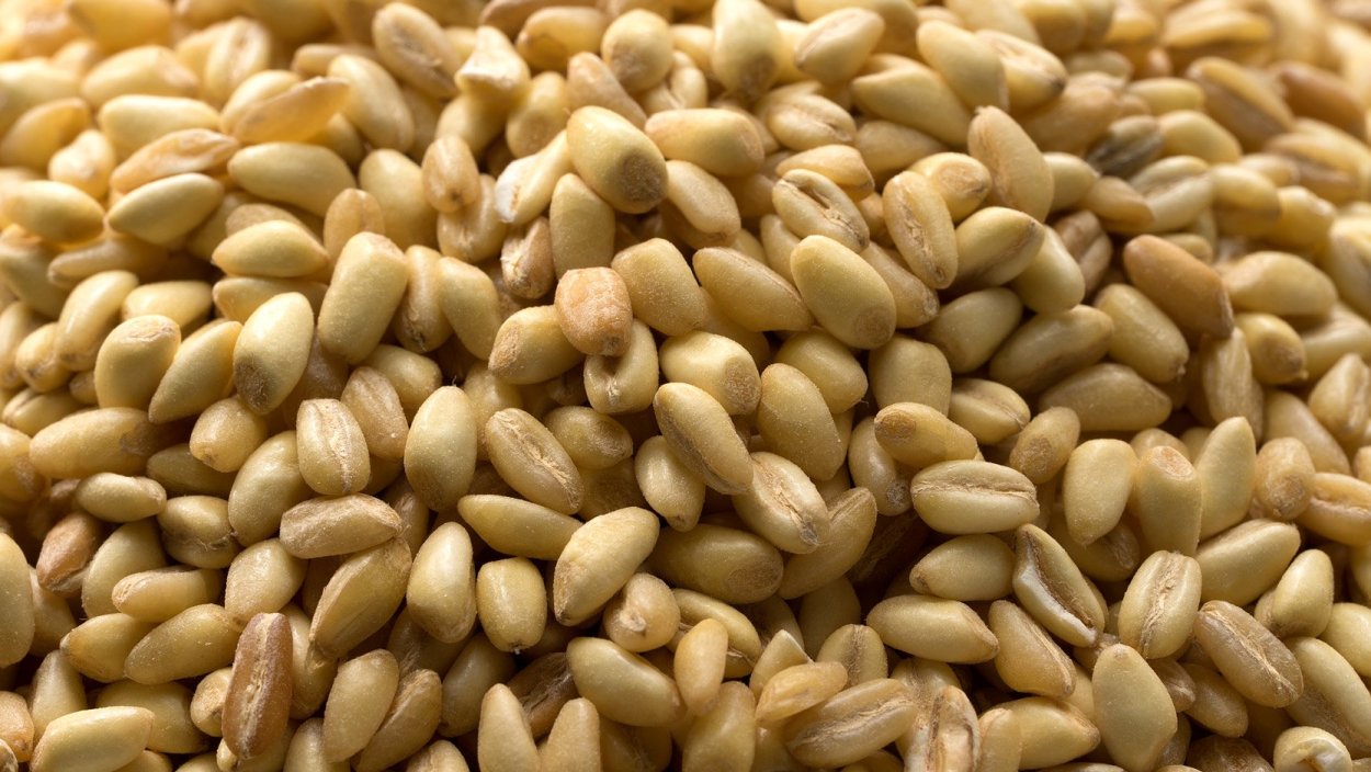 Крупа ячменная перловая