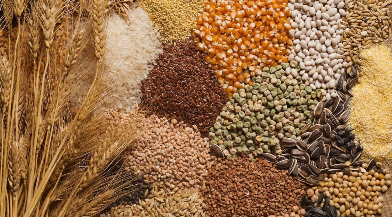 Пшеница ячмень кукуруза