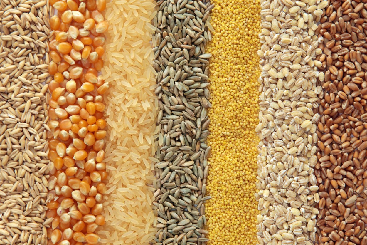 Крупа ячменная это перловка