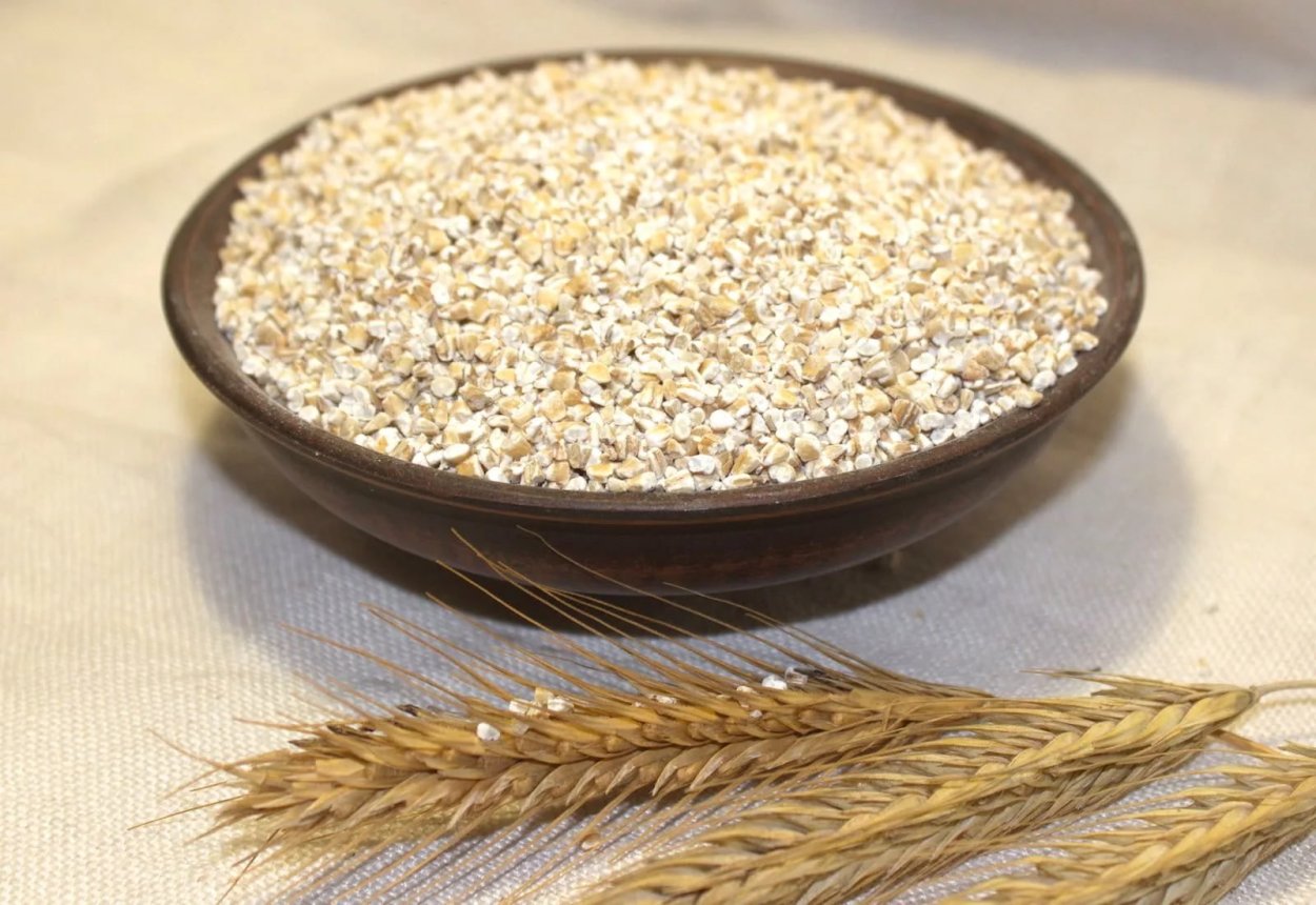 Семена зерновые, бобовые, масличные, кормовые