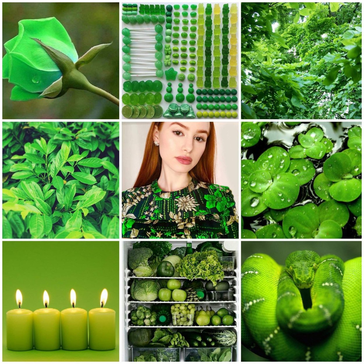 Эстетика зелёного цвета